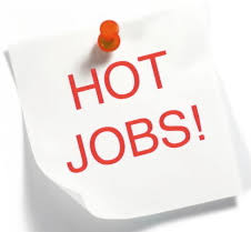 Bright Outlook Careers